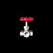 Load image into Gallery viewer, TWGV25 1/4" 3-WAY GATE VALVE