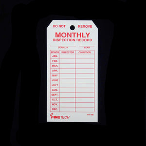 RT100 MONTHLEY TAG (PK-100 )